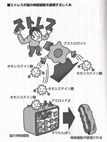img054のコピー.jpg