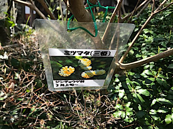 rblog-20180329182739-03.jpg