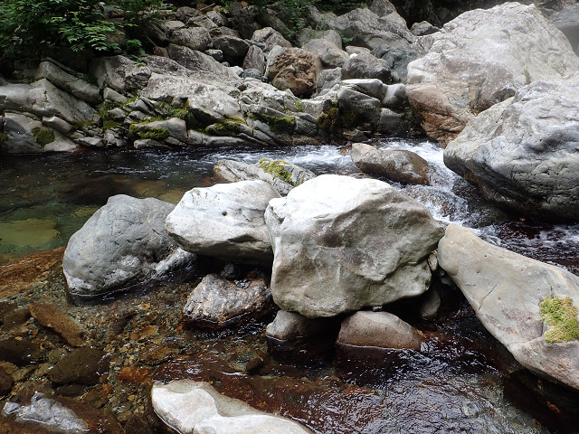 resize0008.jpg