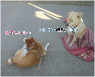 0127朝10.jpg