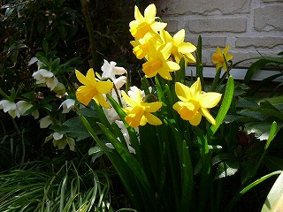 P1270666ss.jpg