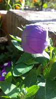 rblog-20130616160845-00.png