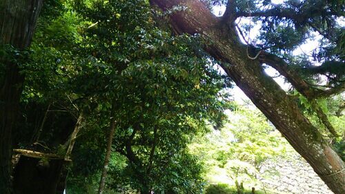 rblog-20170528172611-01.jpg