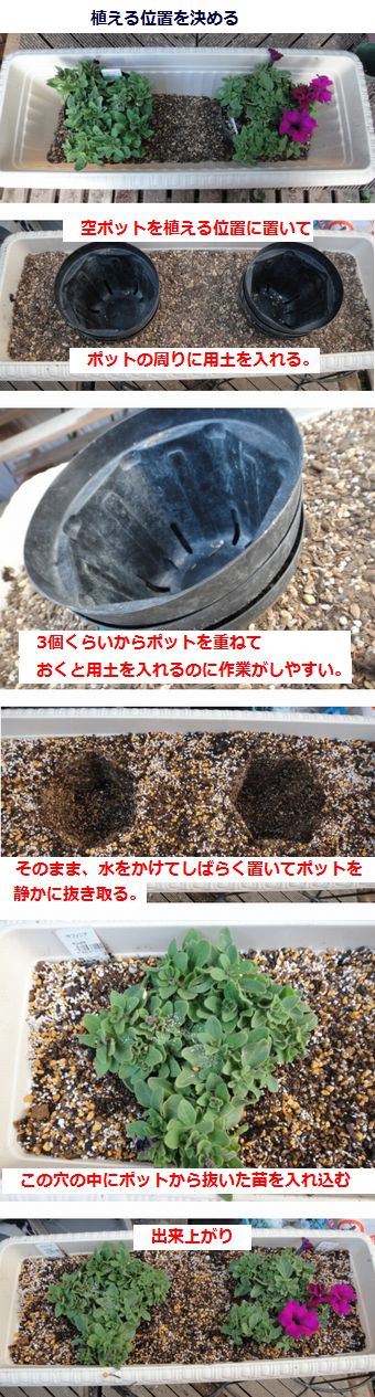 苗を崩さずに移植する方法