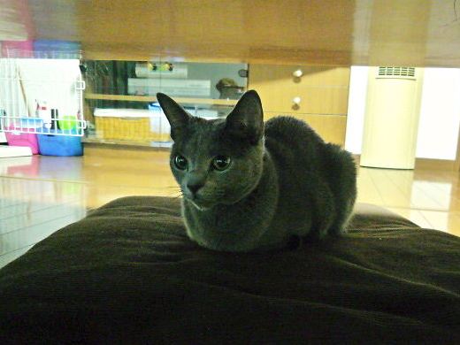 2014年11月03日_P1200887.jpg