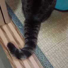 やっぱり怖いんだ～