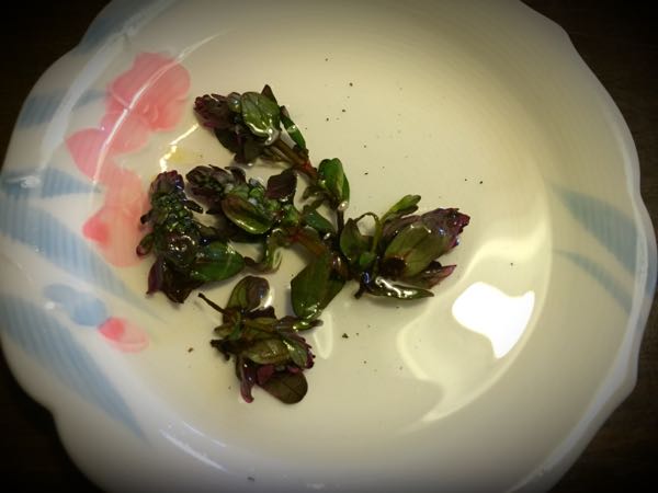 rblog-20160331183429-00.jpg