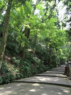 s-IMG_6361.jpg