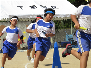 IMG_0337.png
