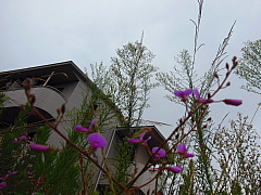 conv1256.JPG