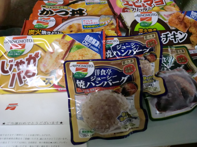 2013_0825_101907-CIMG1668.JPG