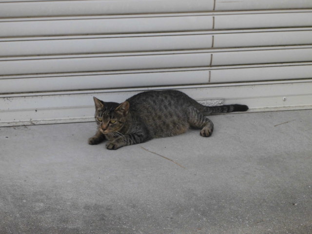 CIMG0378.JPG