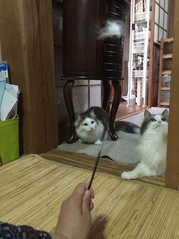 rblog-20150603175759-04.jpg