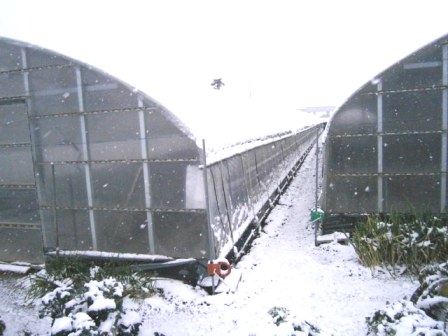16.1.24－2.JPG