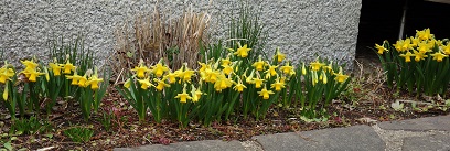 015-1.jpg