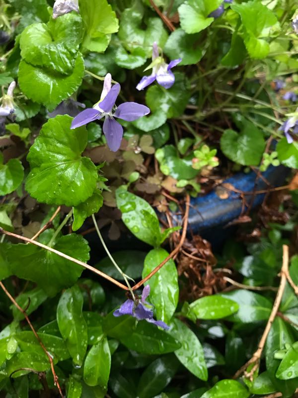 rblog-20190419193912-06.jpg