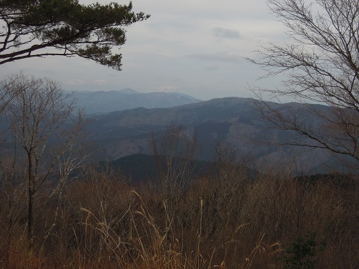 DSCN6380s.jpg