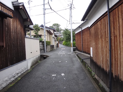 DSC09167.JPG