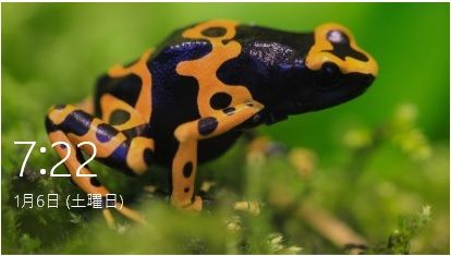 Windowsスポットライトのカエルの写真が気持ち悪すぎる いなももの日記 ももログ 楽天ブログ