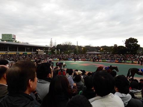141231-92.jpg