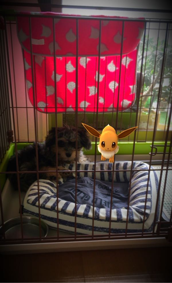 rblog-20161009213714-05.jpg