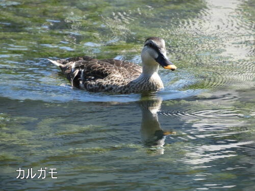 小池公園にて