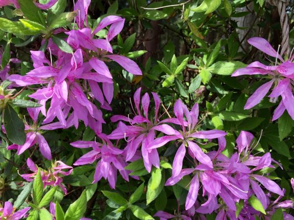 rblog-20160416205115-08.jpg