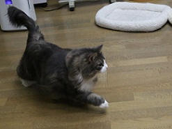 5DA_4415-19.jpg