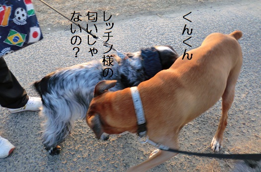 気のせい