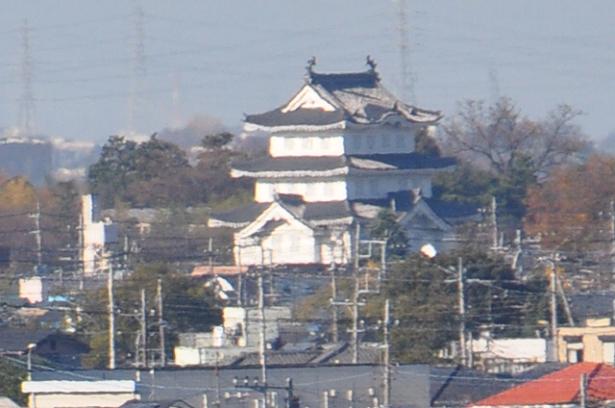 丸墓山古墳から忍城