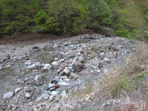 DSC00723.JPG