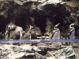 東京スカイツリー 087.jpg