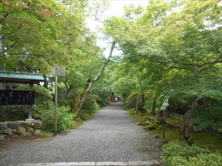 京都　鷹峯　常照寺