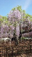 rblog-20140425163104-02.png
