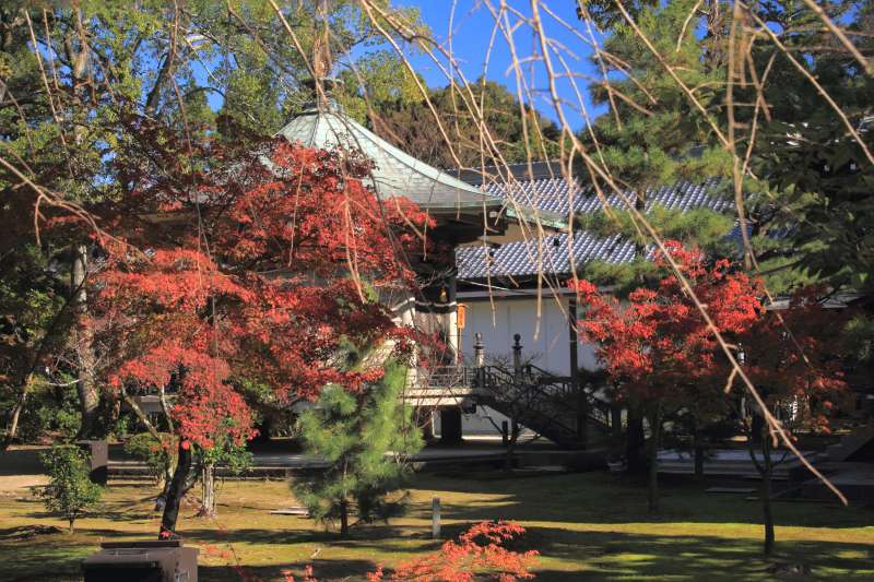 大覚寺_003-心経殿.jpg