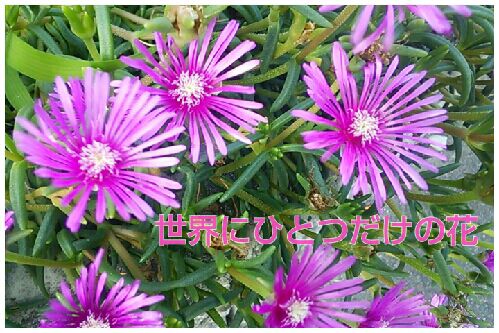 rblog-20160902205313-00.jpg