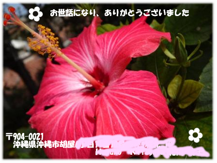 引越しカード