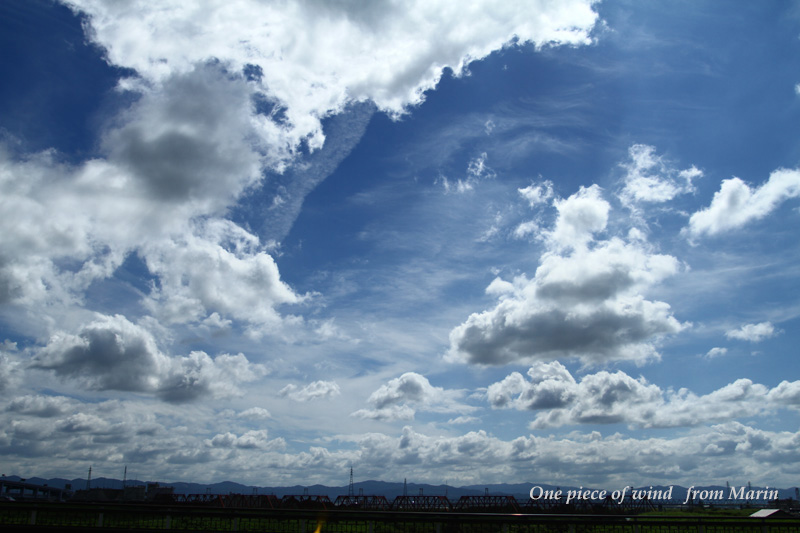 夏の空 ひとひらの風 楽天ブログ
