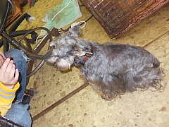 conv0832.JPG