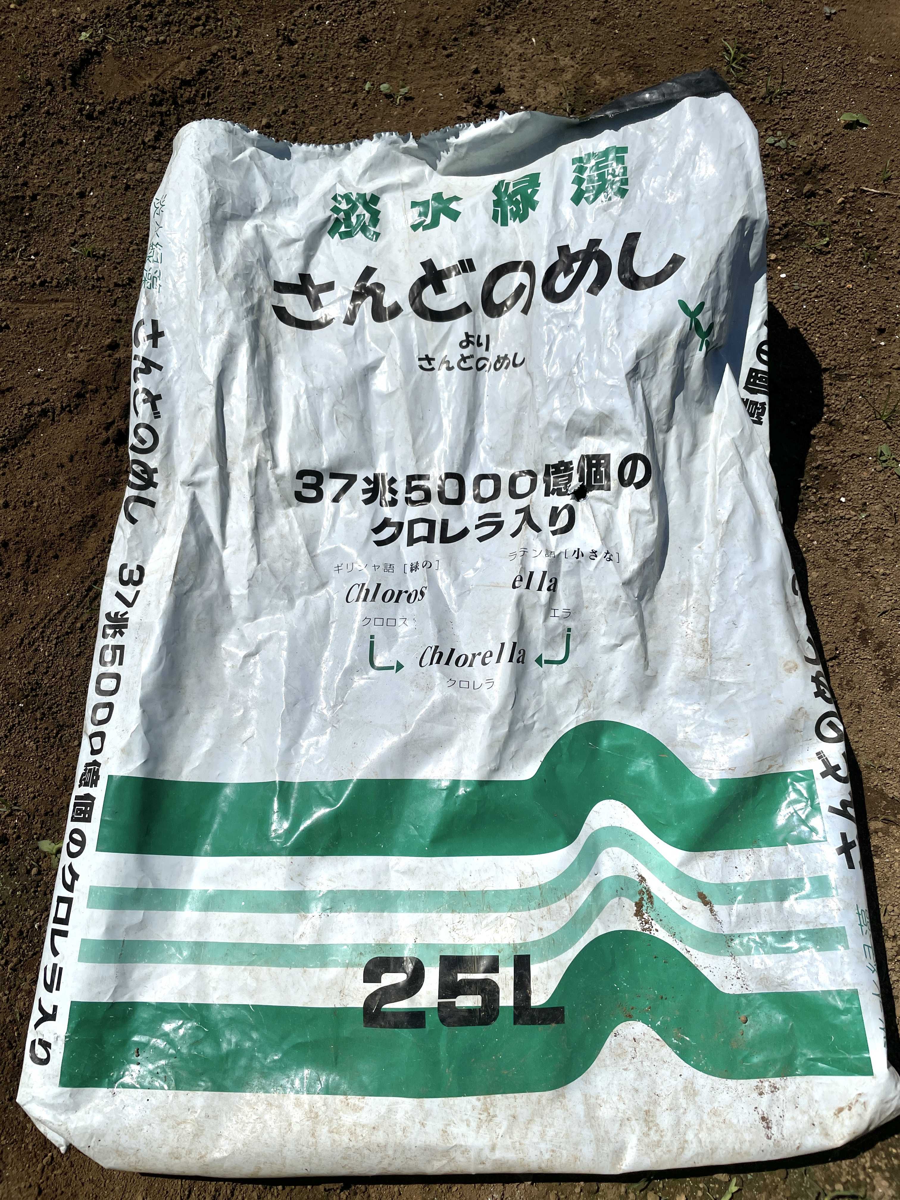 6ページ目の記事一覧 植木屋の三代目をやってます村野園のブログです 楽天ブログ 6ページ目の記事一覧 植木屋の三代目をやってます村野園のブログです 楽天ブログ