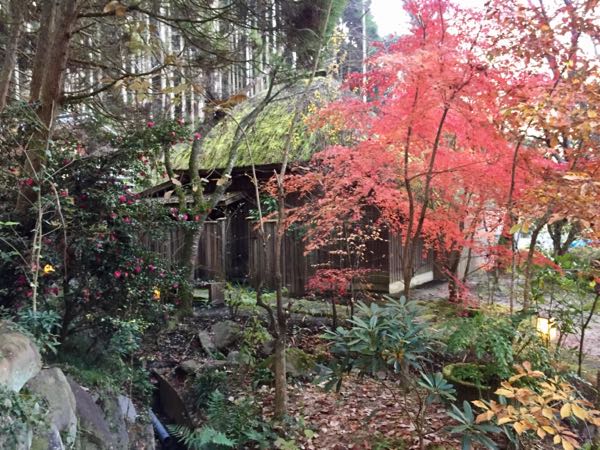 rblog-20161212091008-09.jpg