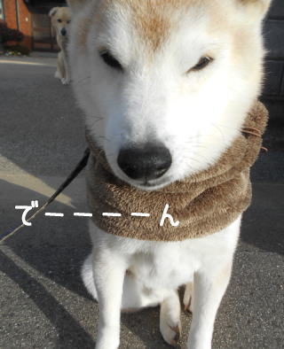 1228トム4.jpg