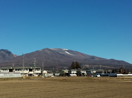 20160110_105533 (500x374).jpg