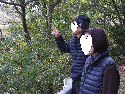2014_1210_123234-IMGP3448.JPG