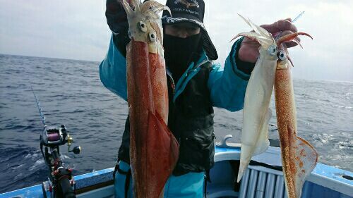 rblog-20180223125932-01.jpg