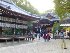 P1060741.JPG