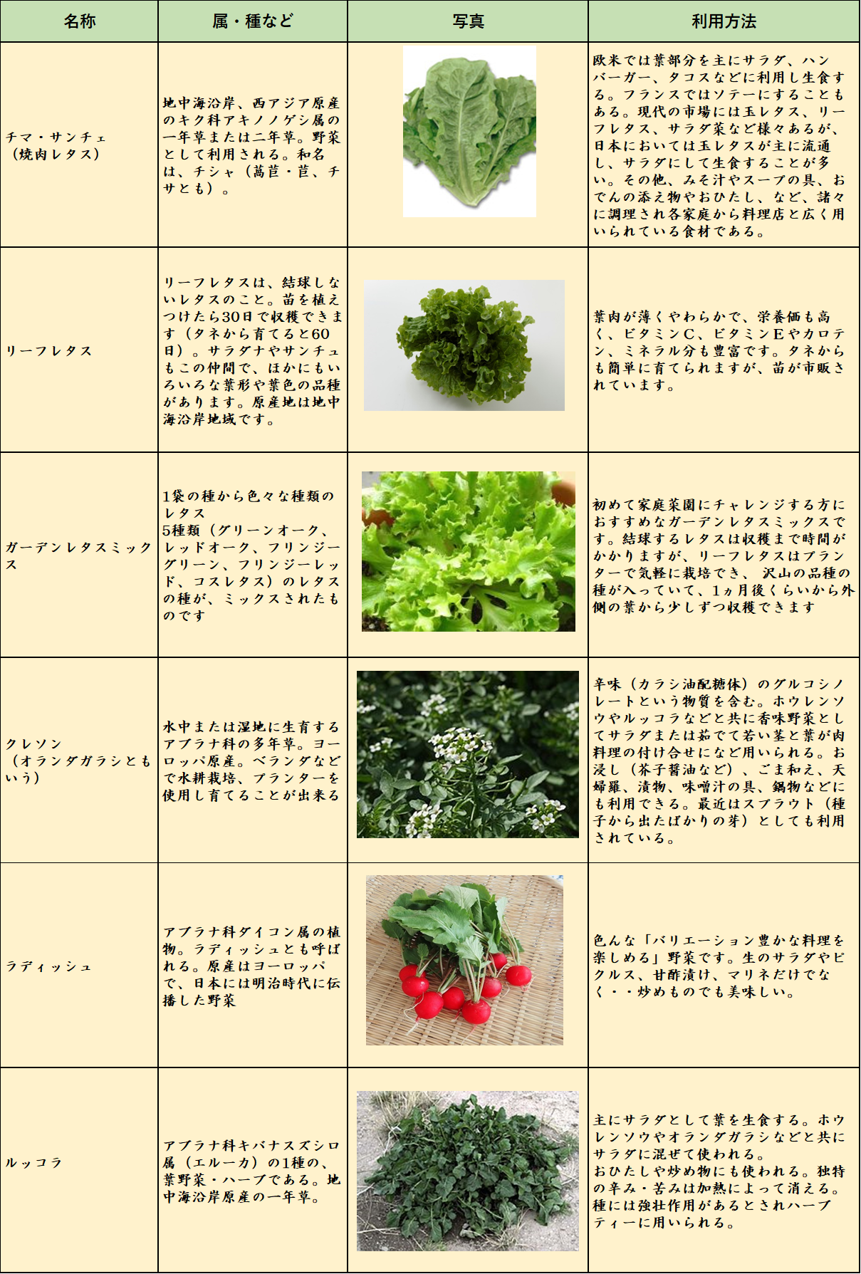 ミニミニ自宅菜園便り 秋物野菜の取り組み です 彡 学び活かすのブログ 楽天ブログ