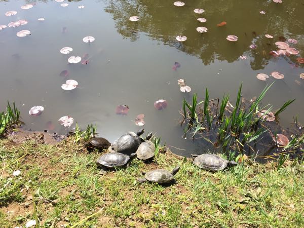 rblog-20180331160947-01.jpg
