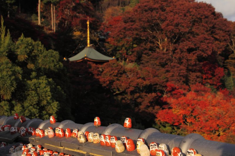 勝尾寺_5-4.jpg