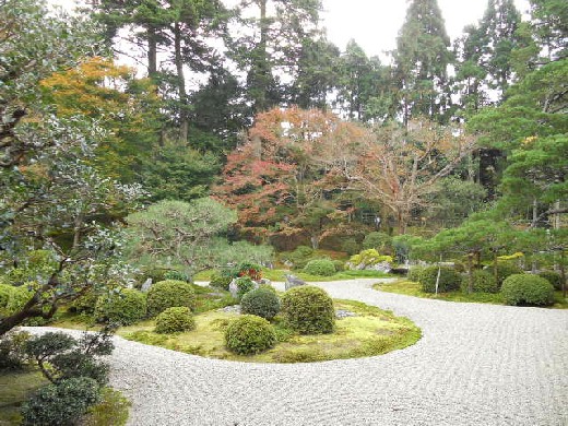 2015-11-21 曼殊院庭園の紅葉.jpg